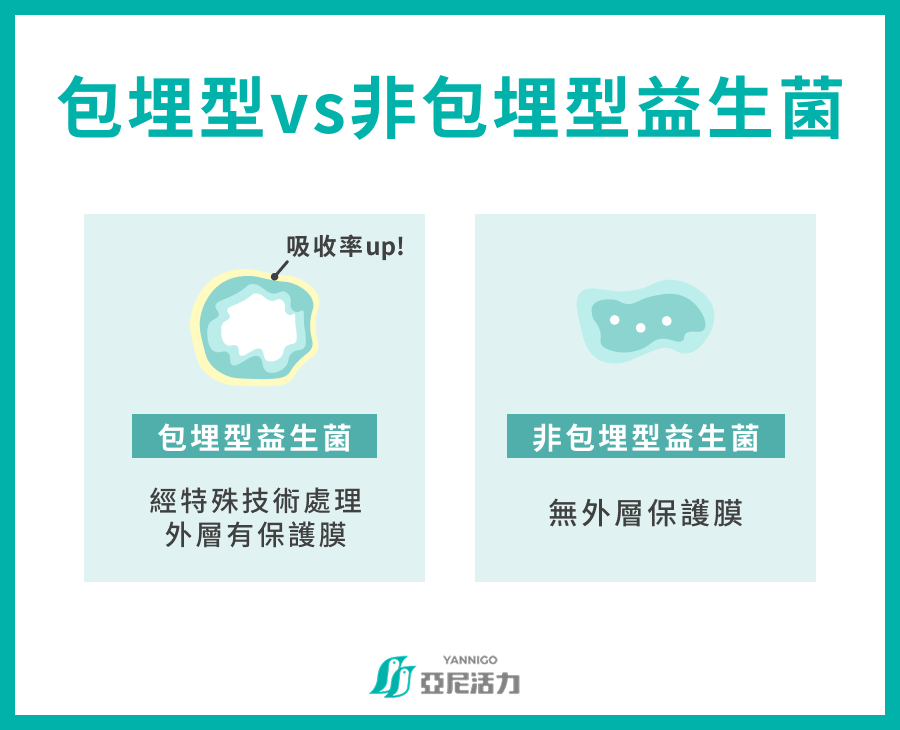 益生菌包埋VS非包埋益生菌差異
